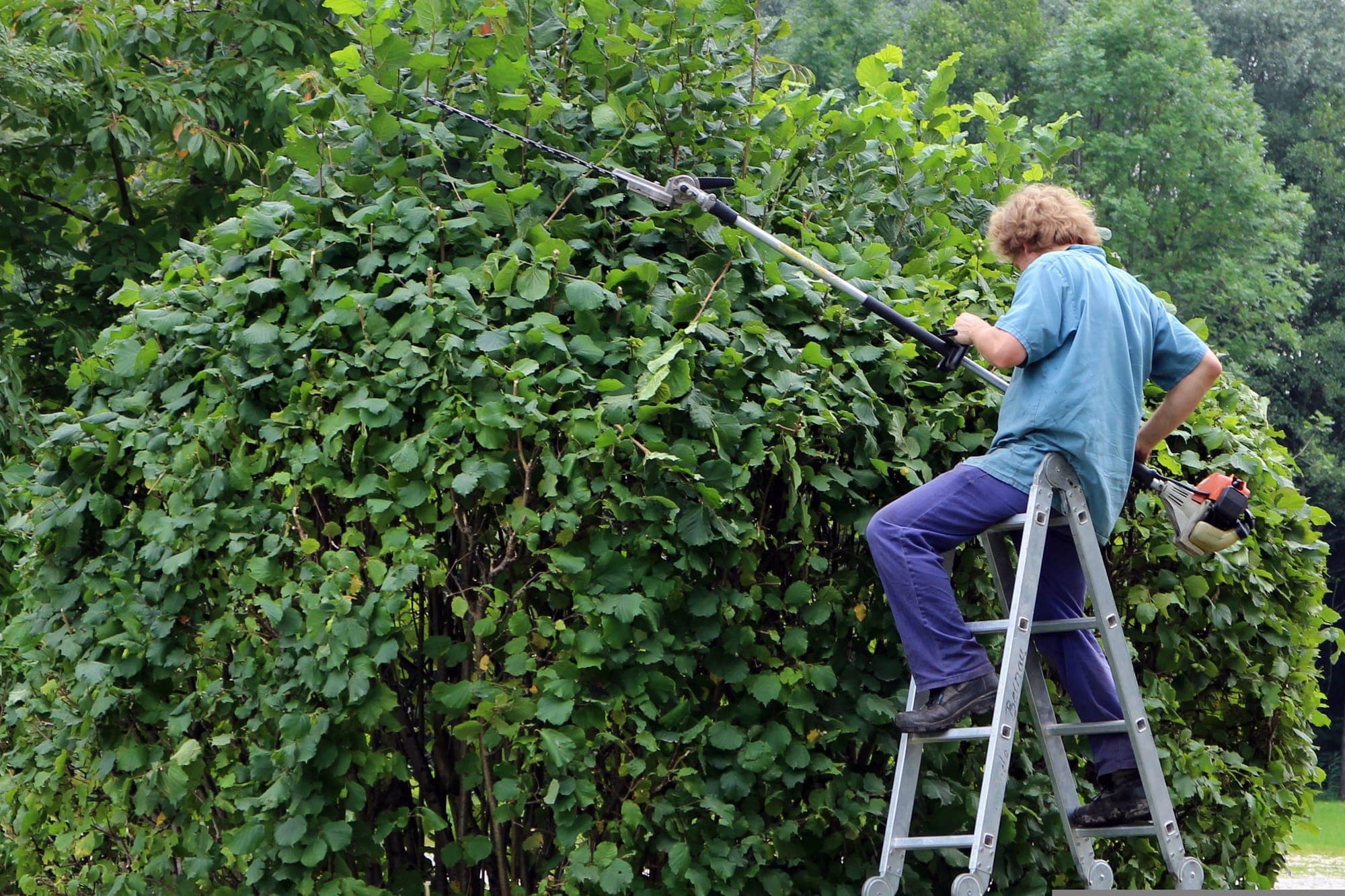 Landscaping work